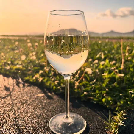 Norah - Liget Fonyod