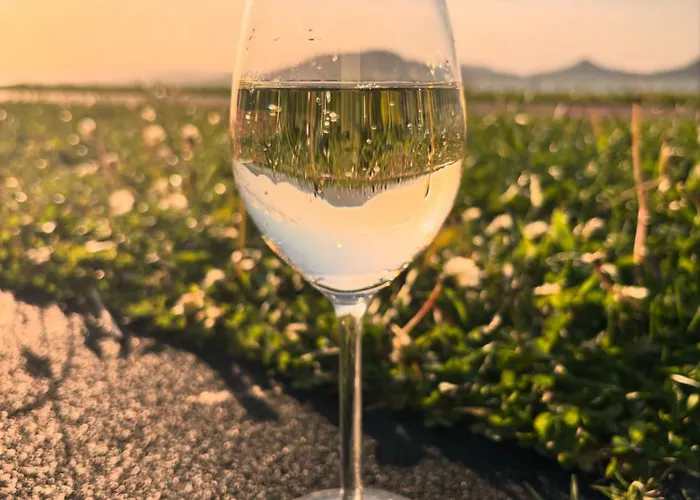 Norah - Liget Fonyod